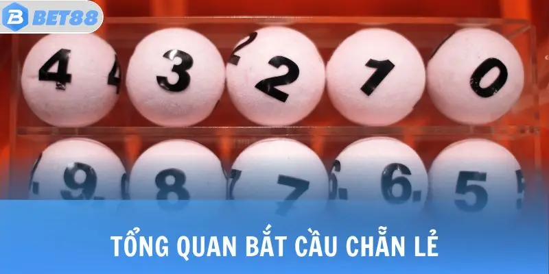 Tổng quan bắt cầu chẵn lẻ