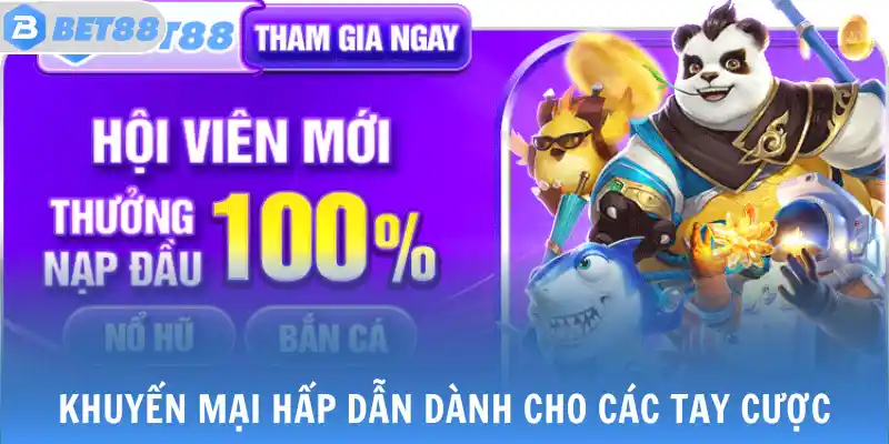 Khuyến mại hấp dẫn dành cho các tay cược